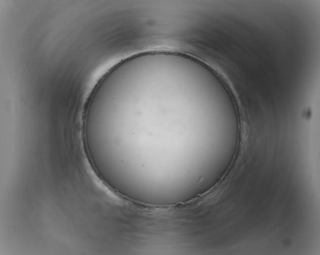 X0000111611480200907171028