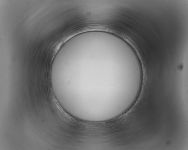X0000111611481200907171028