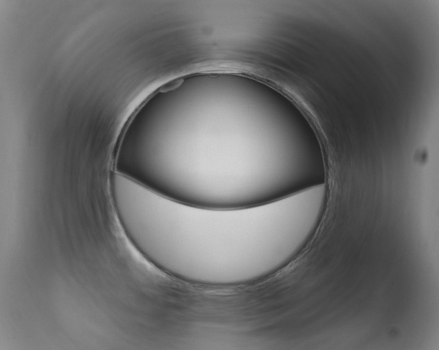 X0000111611484200907171028