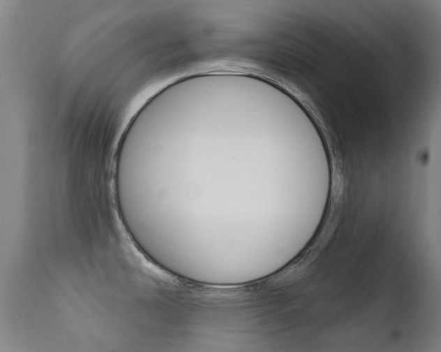 X0000111611486200907171027