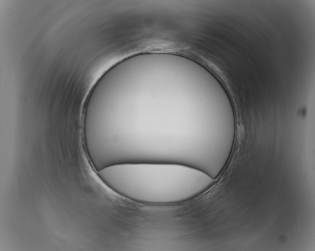X0000111611487200907171027