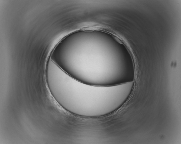 X0000111611488200907171027