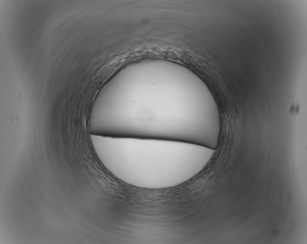 X0000111611489200907171027