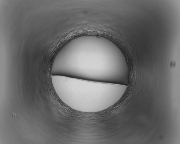 X0000111611490200907171027