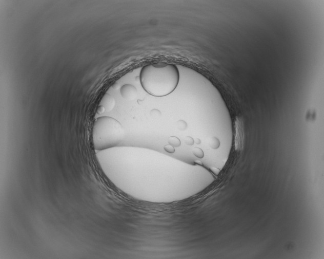 X0000111611491200907171027
