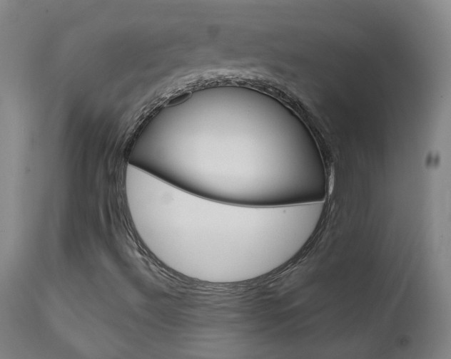 X0000111611492200907171027