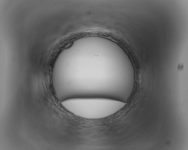 X0000111611493200907171027