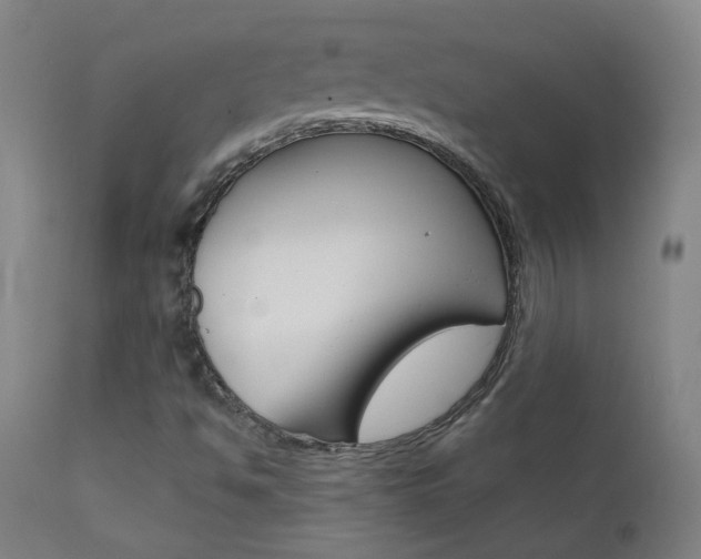 X0000111611494200907171027