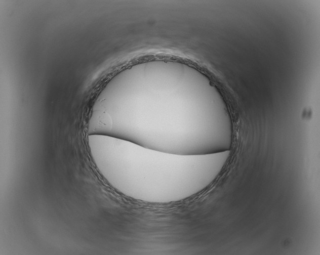 X0000111611495200907171027