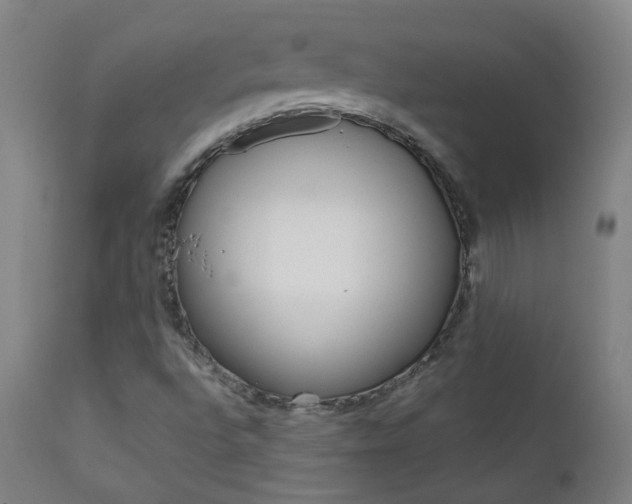X0000111611496200907171027