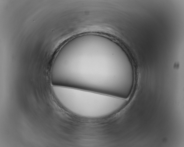 X0000111611497200907171027