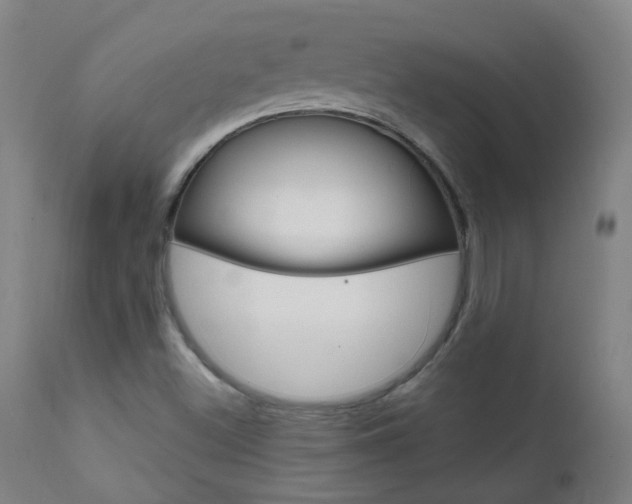 X0000111611500200907171027