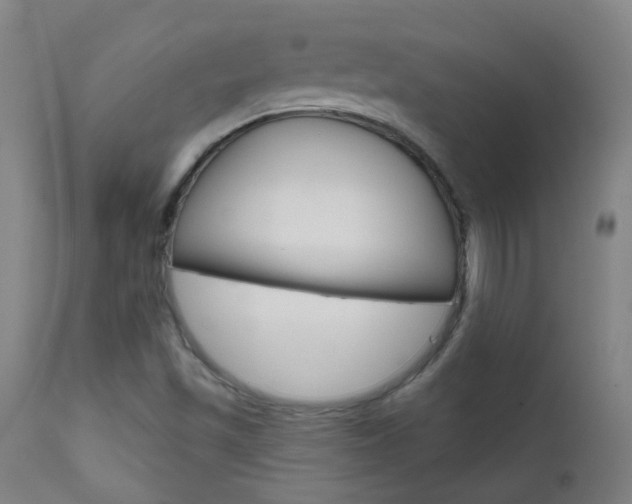 X0000111611501200907171027