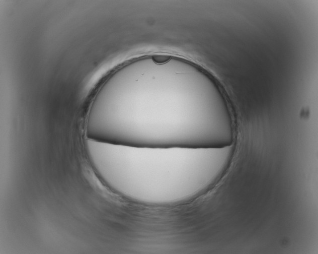 X0000111611503200907171027