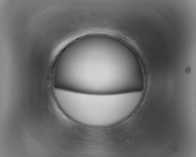 X0000111611504200907171027