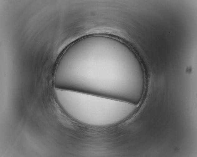 X0000111611505200907171027