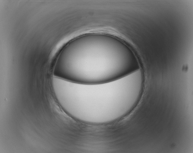 X0000111611506200907171027