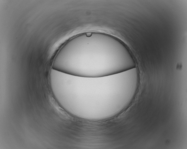 X0000111611507200907171027