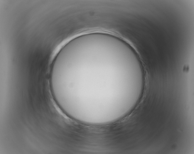X0000111611508200907171027