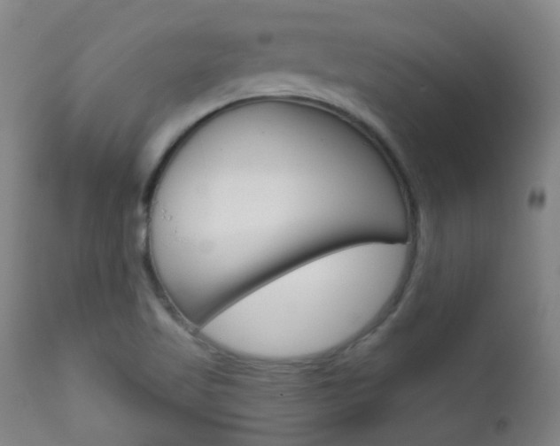 X0000111611509200907171027