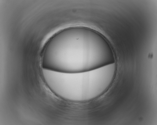 X0000111611510200907171027
