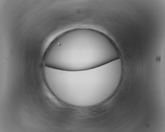 X0000111611511200907171027