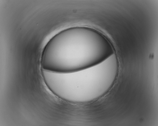 X0000111611512200907171027