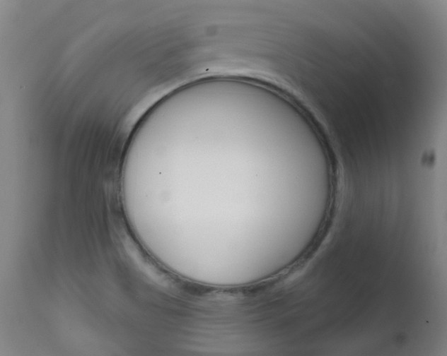 X0000111611513200907171027