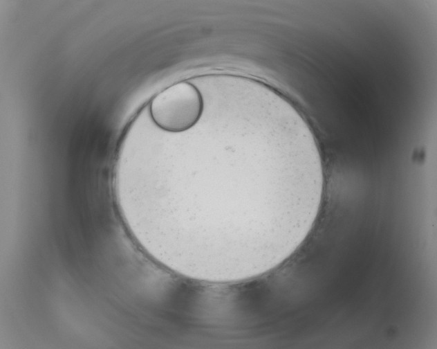 X0000111611514200907171027