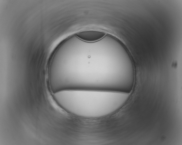 X0000111611515200907171027