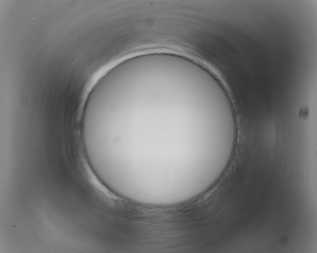 X0000111611516200907171027