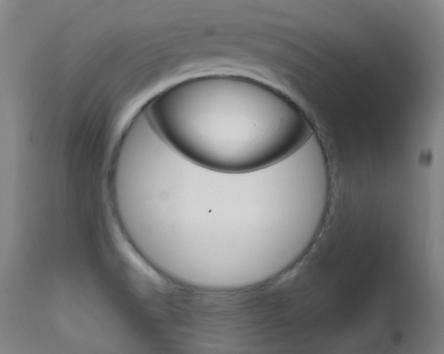 X0000111611518200907171027