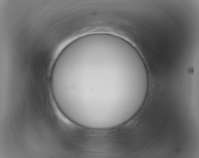 X0000111611519200907171027