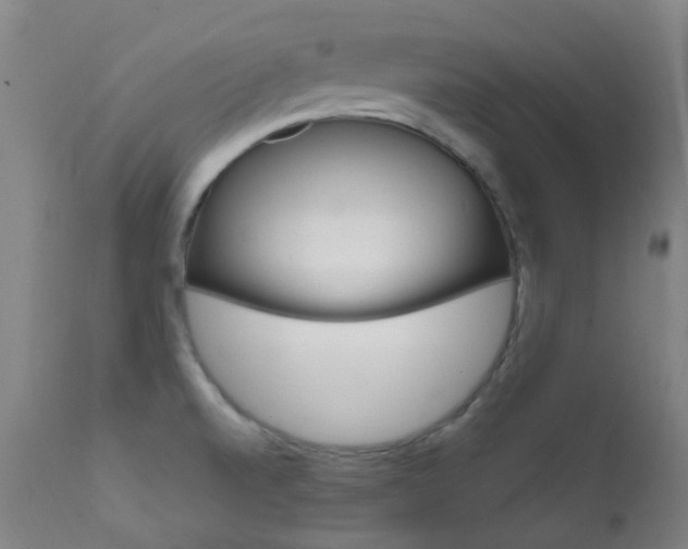 X0000111611520200907171027