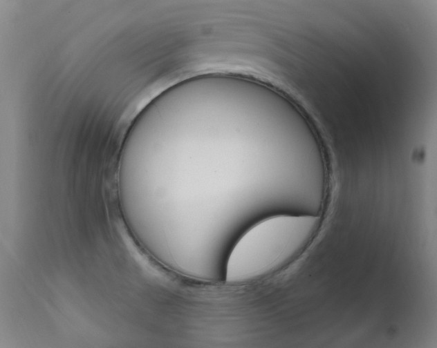 X0000111611521200907171027
