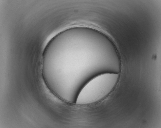 X0000111611522200907171027