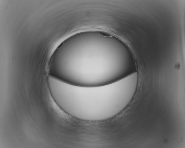 X0000111611524200907171027
