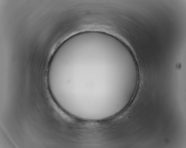 X0000111611525200907171027