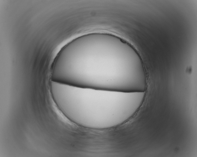X0000111611526200907171027