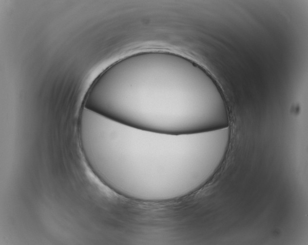 X0000111611527200907171027