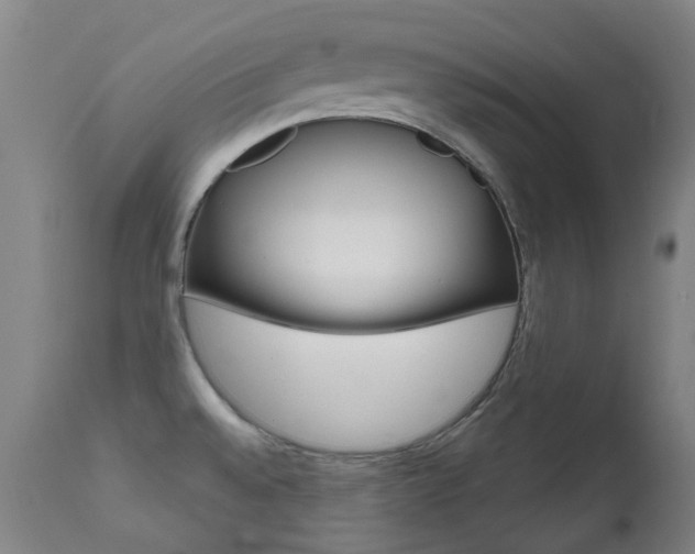 X0000111611528200907171027