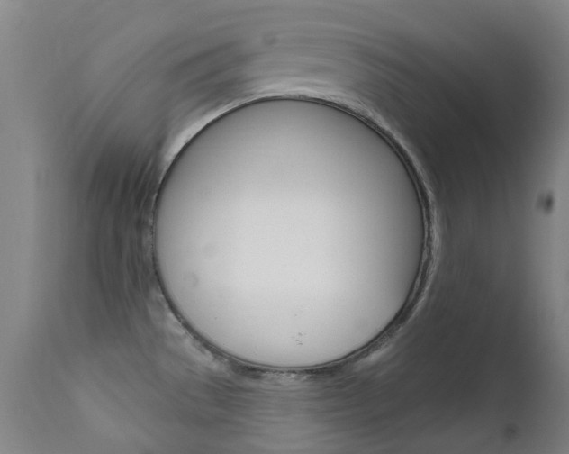 X0000111611529200907171027