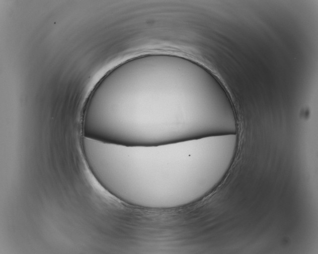 X0000111611531200907171027