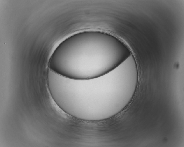 X0000111611532200907171027