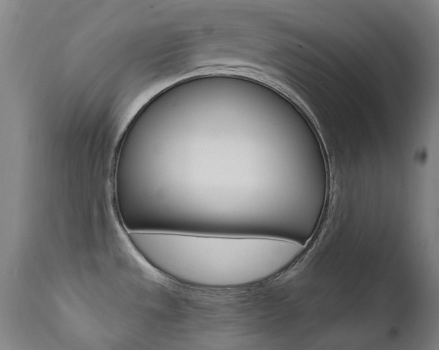 X0000111611533200907171027
