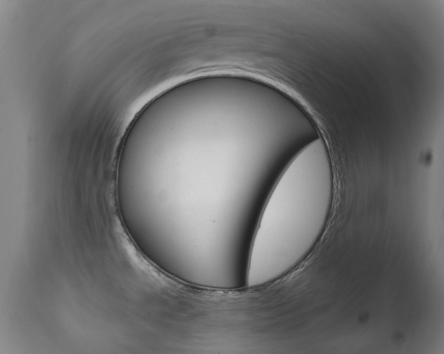 X0000111611534200907171027