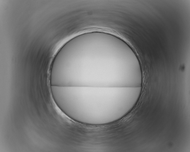 X0000111611535200907171027