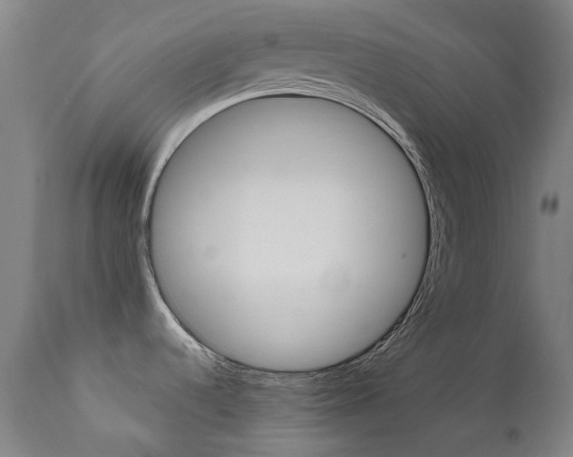 X0000111611536200907171027