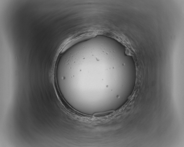 X0000111610003200907171233