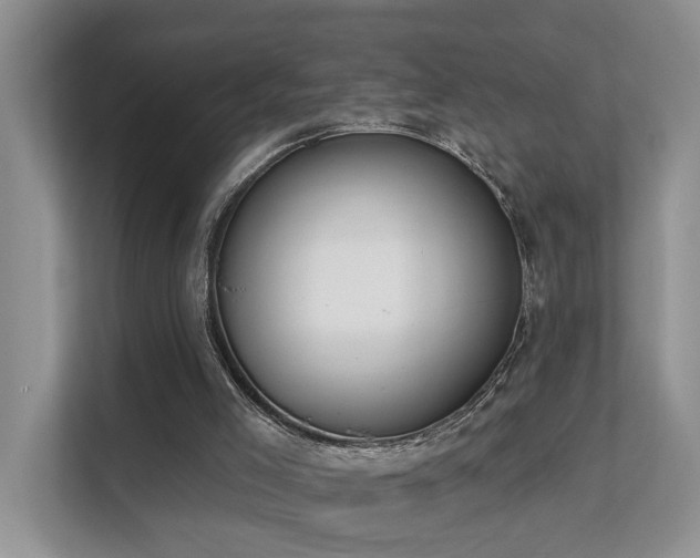 X0000111610005200907171233